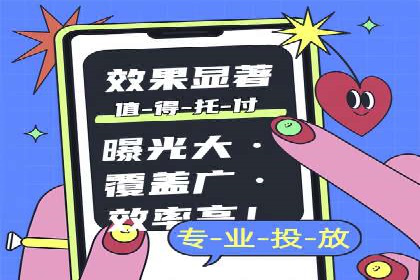 竞价广告的投放策略：XX企业成功案例解析